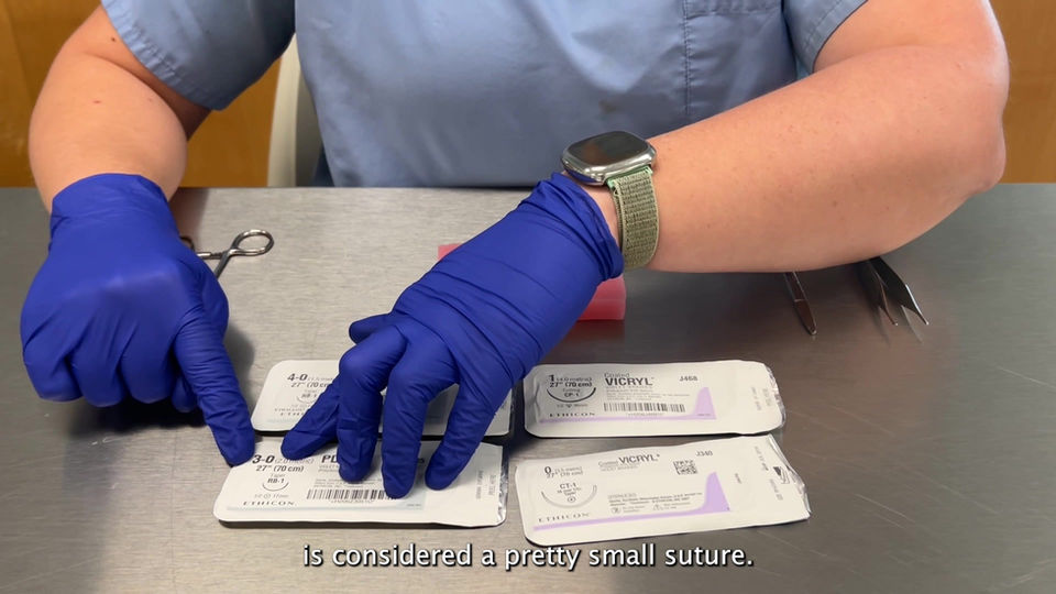 Introduction to Sutures, Instrument Handling, & Suture Patterns
